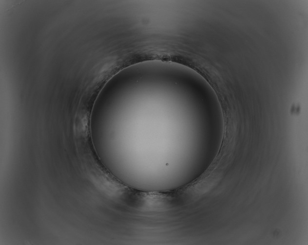 X0000091720336200708241355