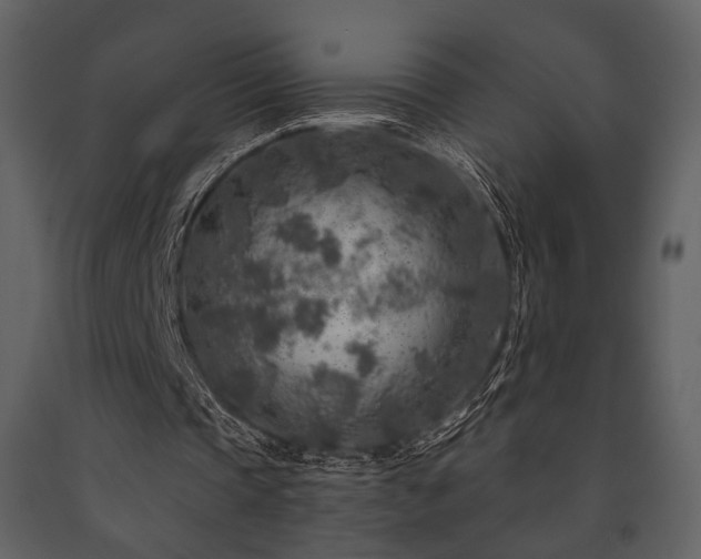 X0000091720337200708241354