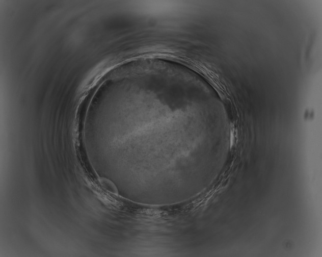 X0000091720339200708241354