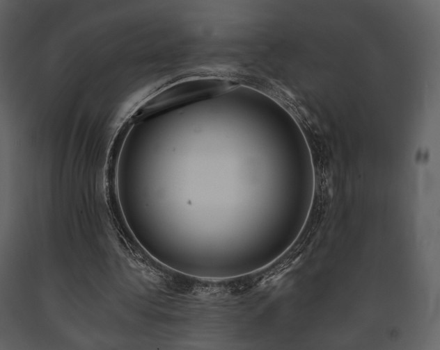 X0000091720340200708241354