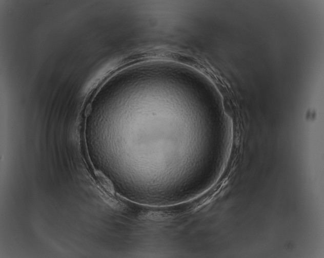 X0000091720341200708241354