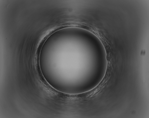 X0000091720342200708241354