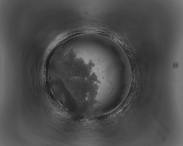 X0000091720343200708241354