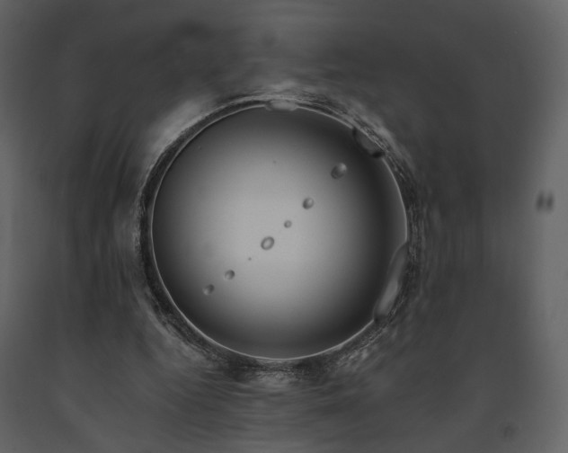 X0000091720344200708241354