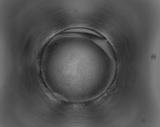X0000091720345200708241354