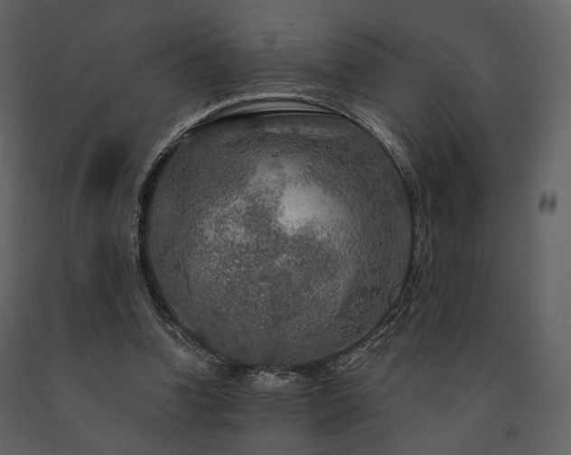 X0000091720346200708241354