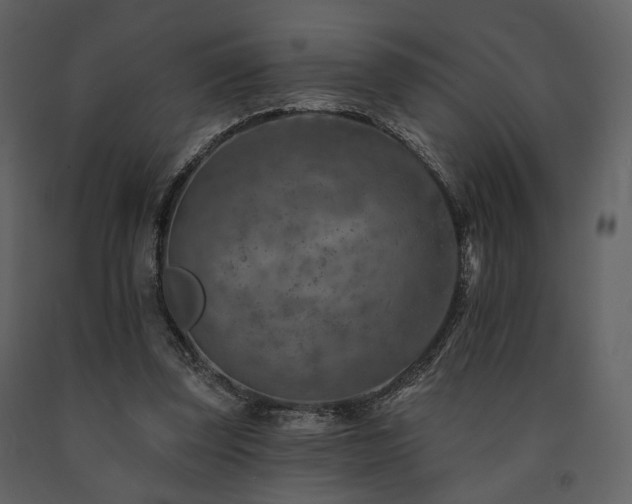 X0000091720347200708241354