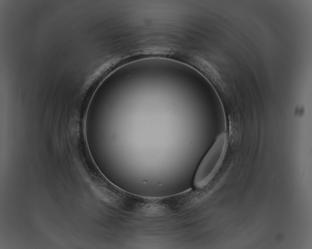 X0000091720348200708241354