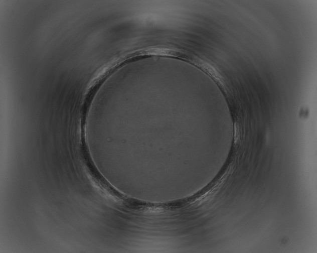 X0000091720349200708241354