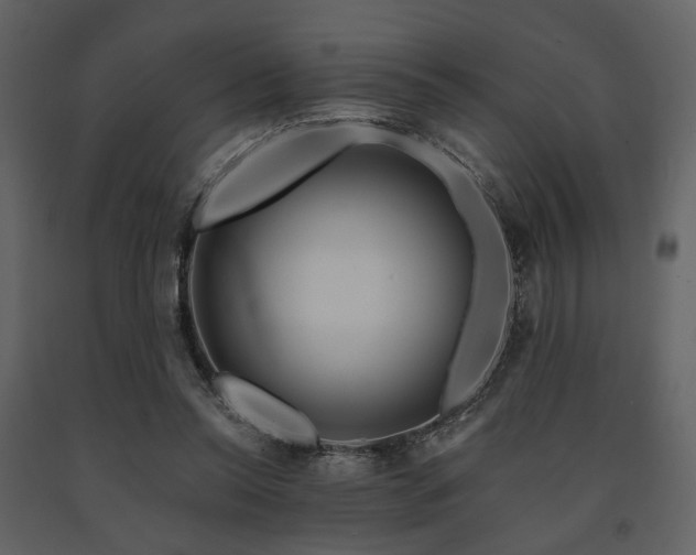 X0000091720350200708241355
