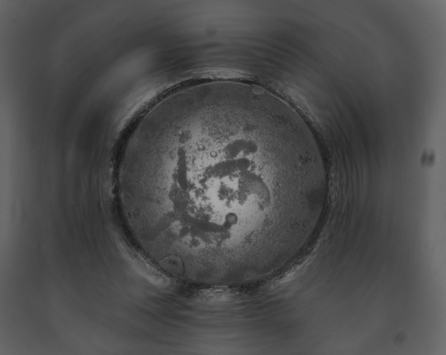 X0000091720351200708241355