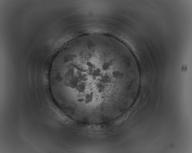 X0000091720353200708241355