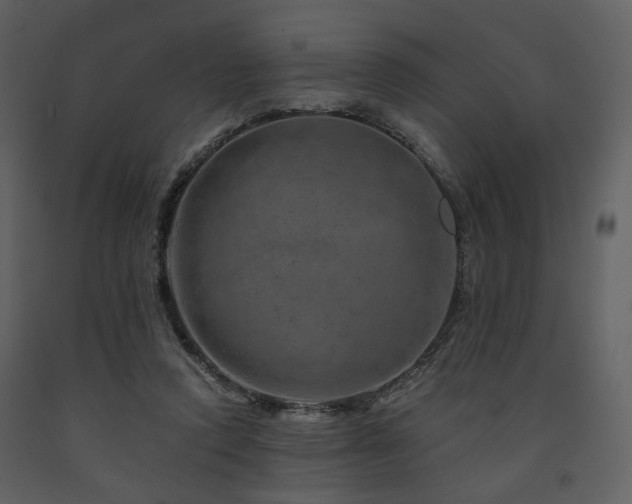 X0000091720354200708241355