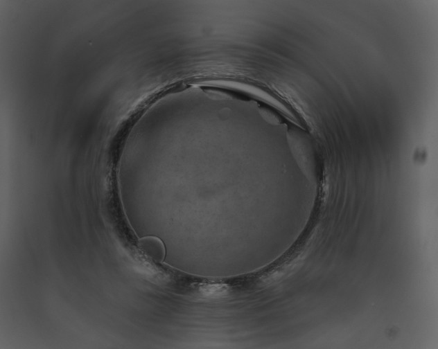 X0000091720355200708241355