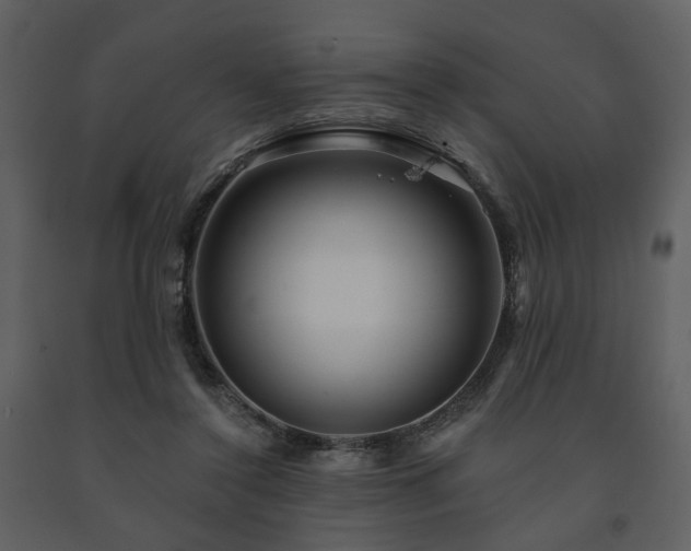 X0000091720356200708241355