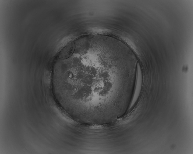 X0000091720357200708241355