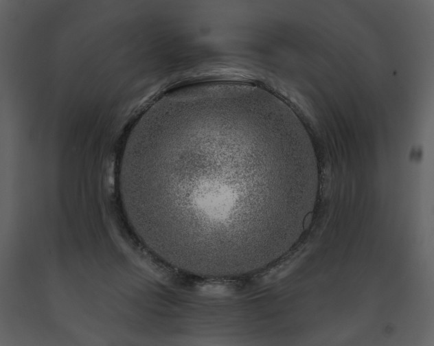 X0000091720358200708241355