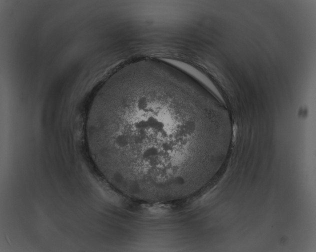 X0000091720359200708241355
