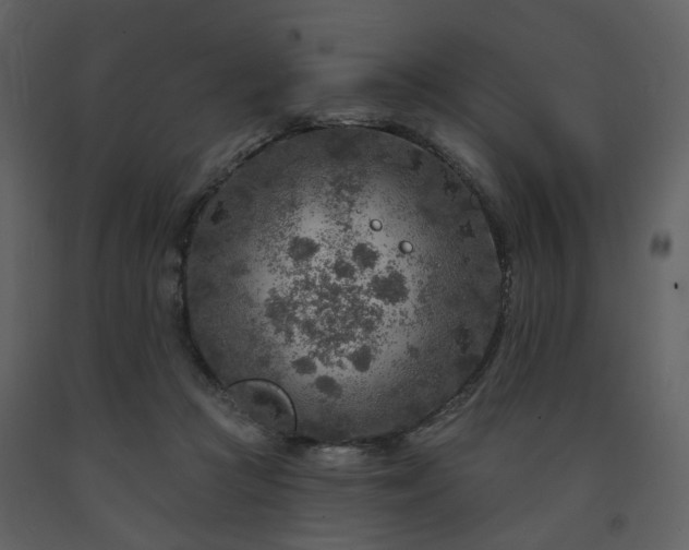 X0000091720361200708241355