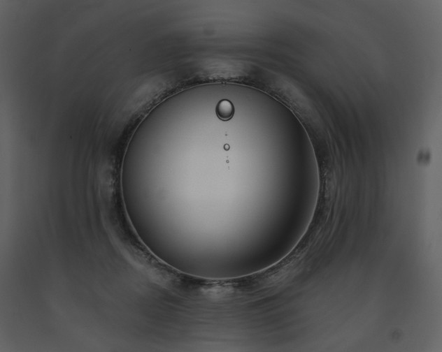 X0000091720362200708241355