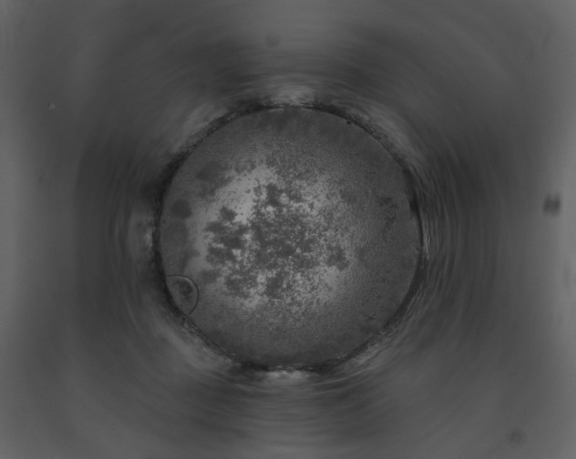 X0000091720363200708241355