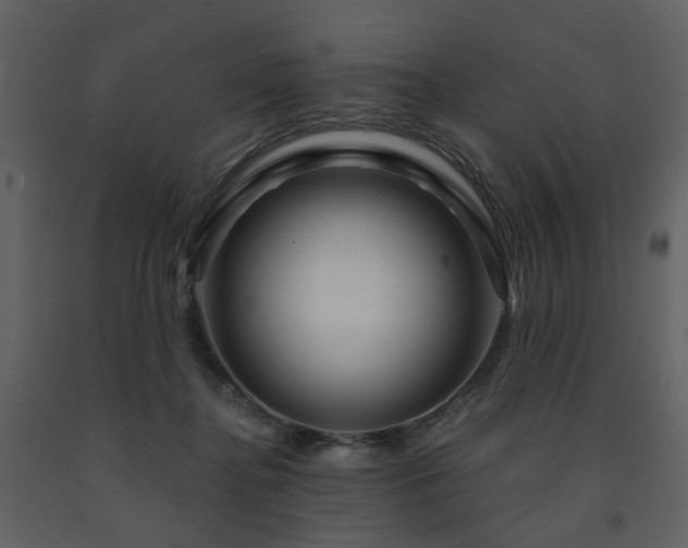 X0000091720364200708241355
