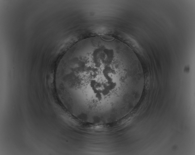 X0000091720365200708241355