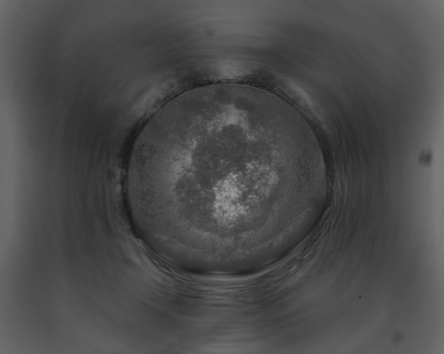 X0000091720366200708241355