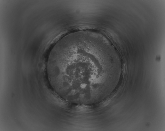 X0000091720367200708241355