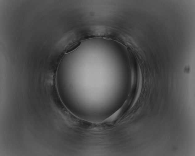 X0000091720368200708241355