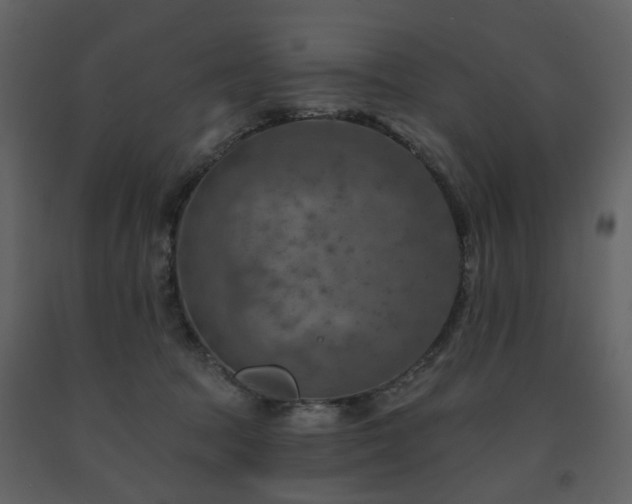 X0000091720369200708241355