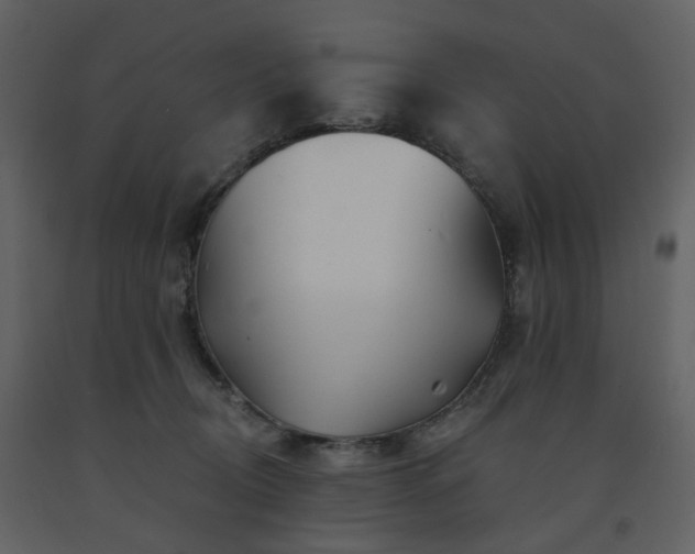 X0000091720370200708241355