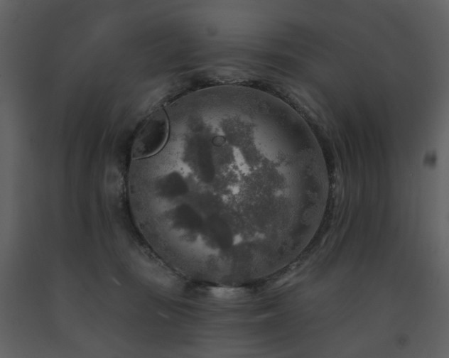 X0000091720371200708241355