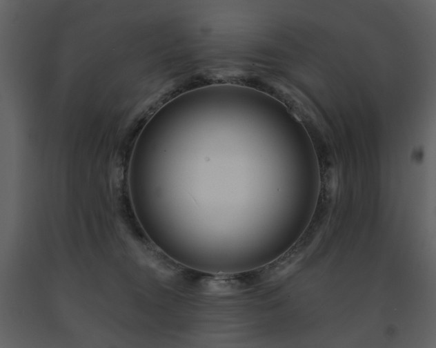 X0000091720372200708241355