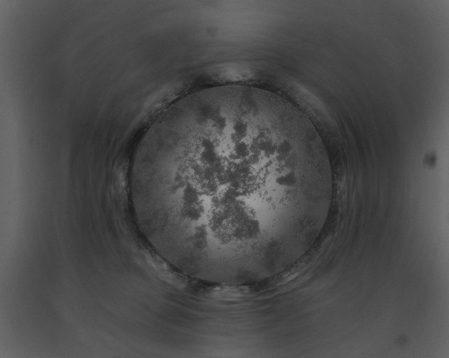 X0000091720373200708241355