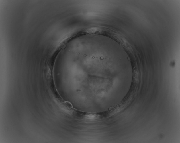 X0000091720375200708241355
