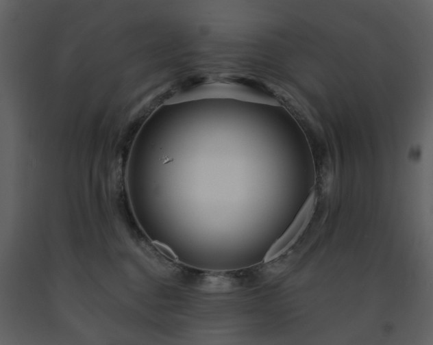 X0000091720376200708241355