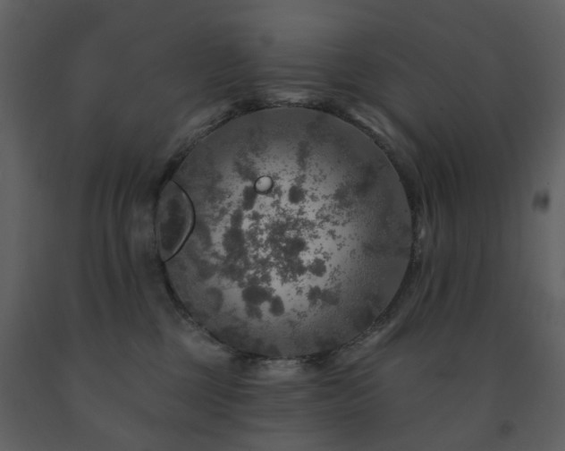 X0000091720377200708241355