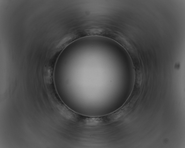 X0000091720378200708241355