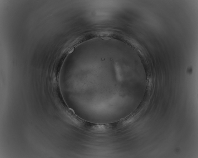 X0000091720381200708241355