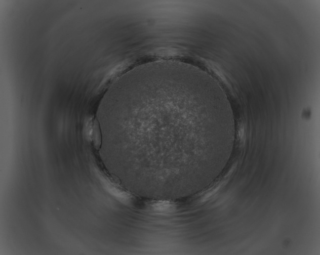 X0000091720383200708241355