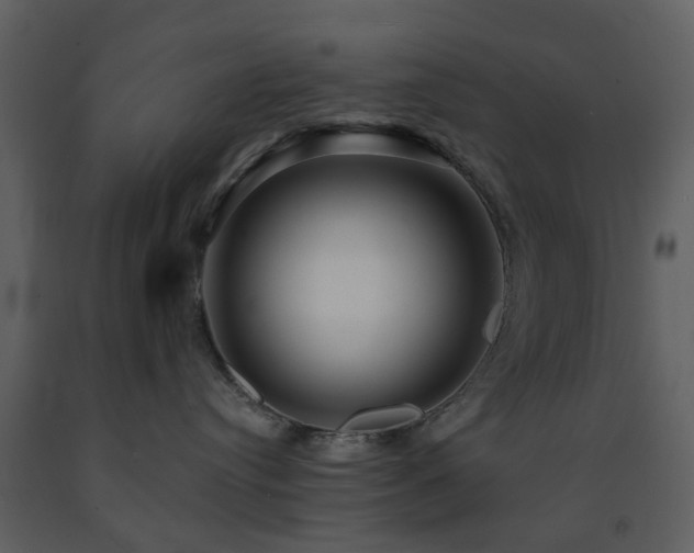 X0000091720384200708241355