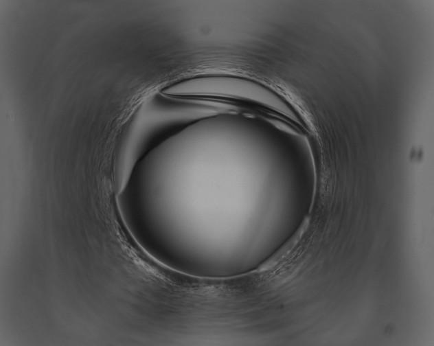 X0000091720385200708241354