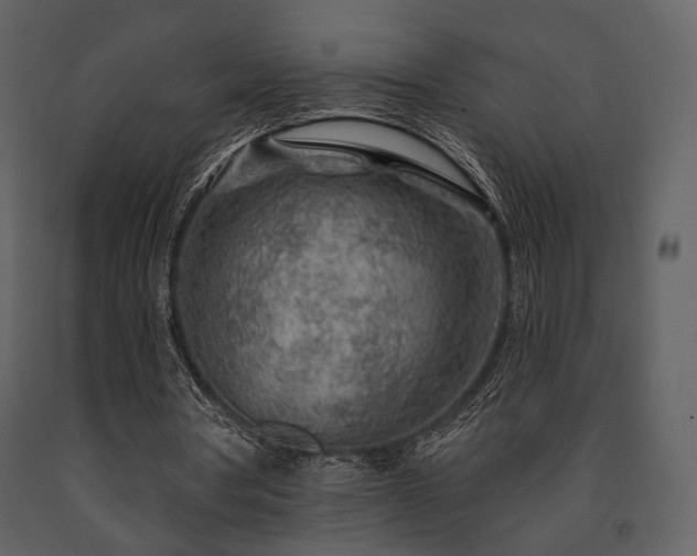 X0000091720386200708241354