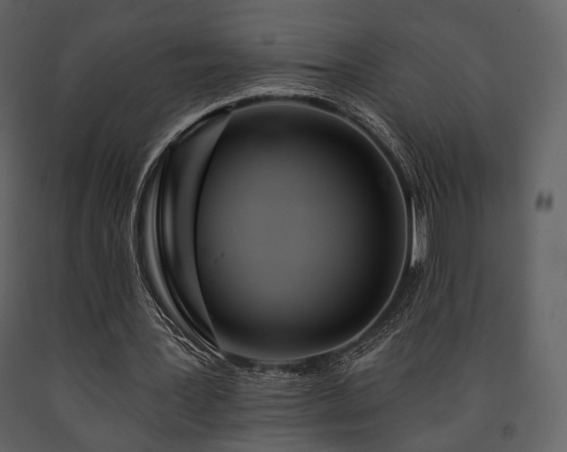 X0000091720387200708241354