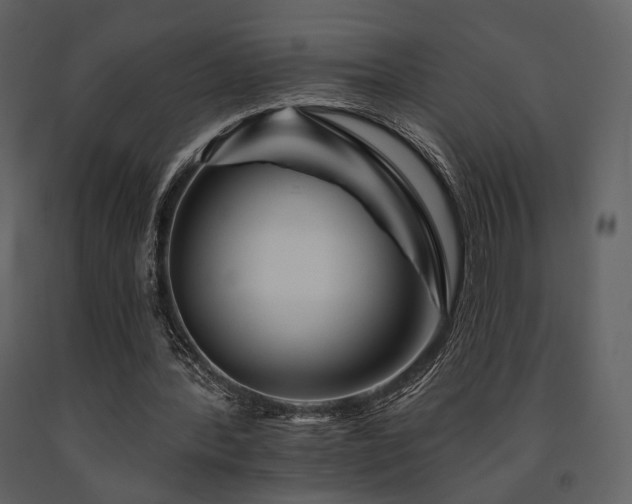 X0000091720388200708241354