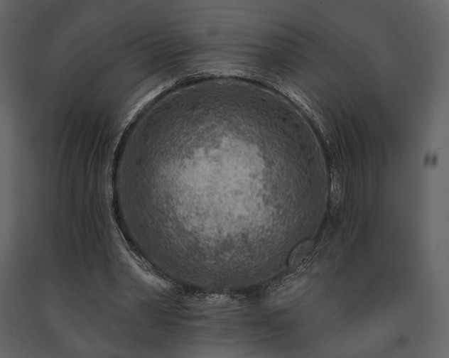 X0000091720390200708241354