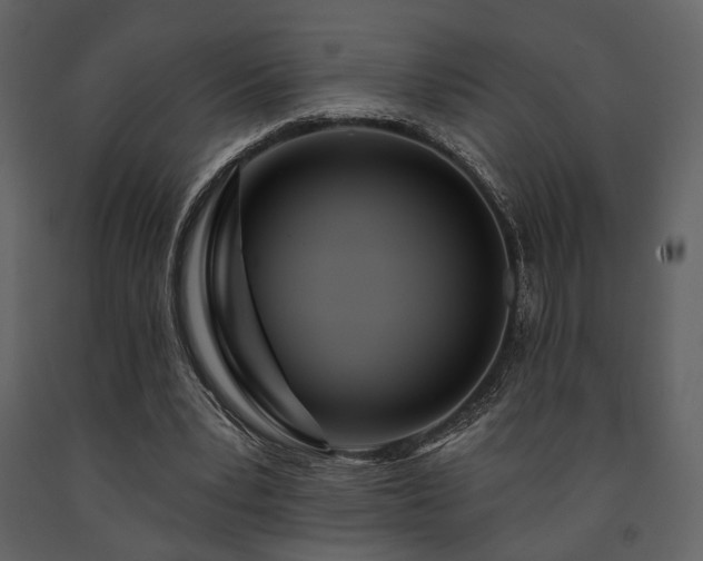 X0000091720391200708241354