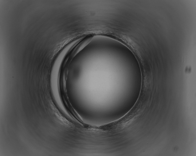 X0000091720393200708241354