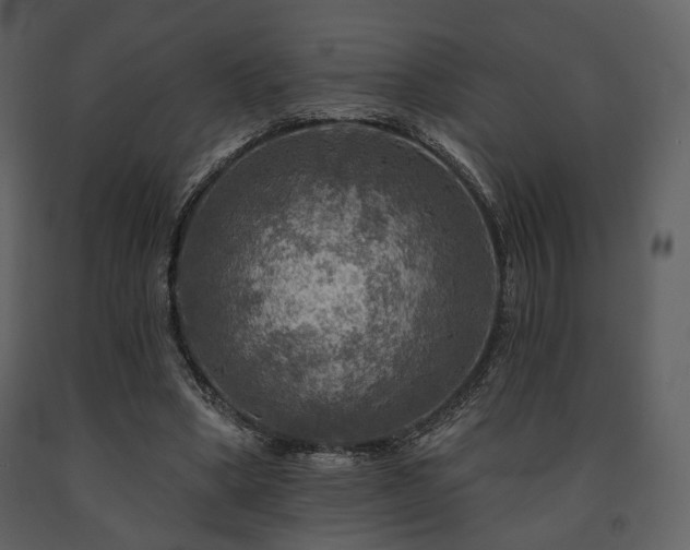 X0000091720394200708241354